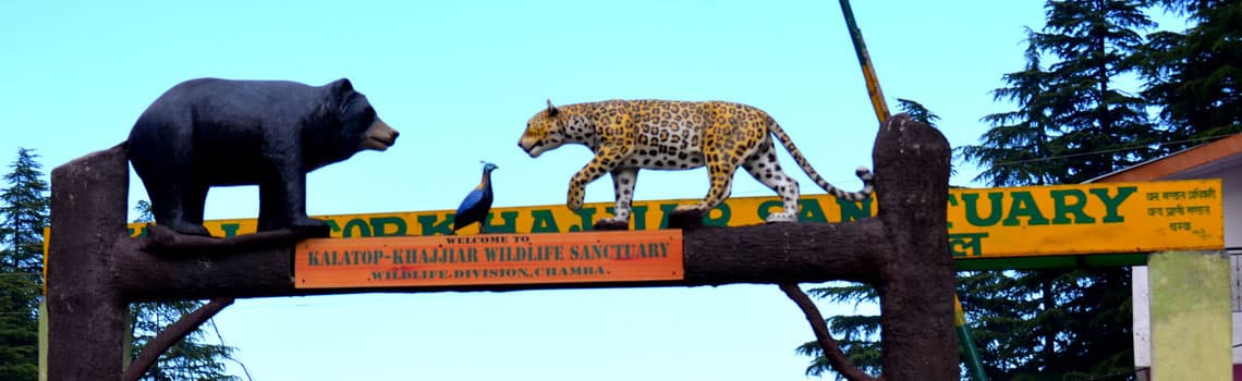 kalatop khajjiar sanctuary 4786